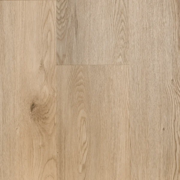 Knokke • Plank XL