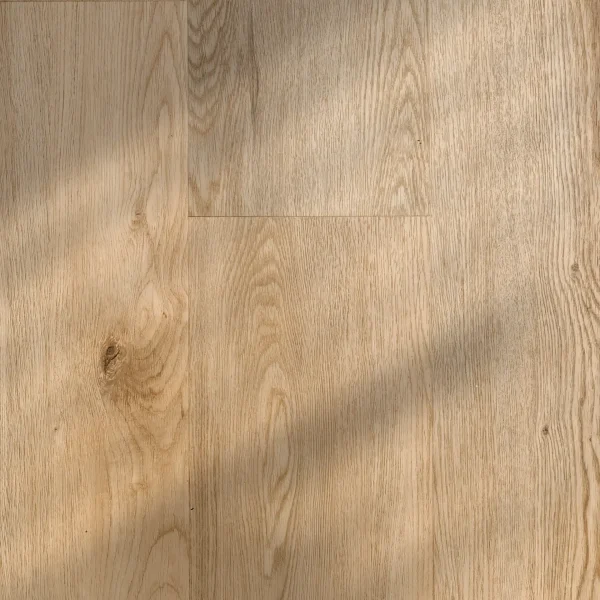 Knokke • Plank XL - Afbeelding 4