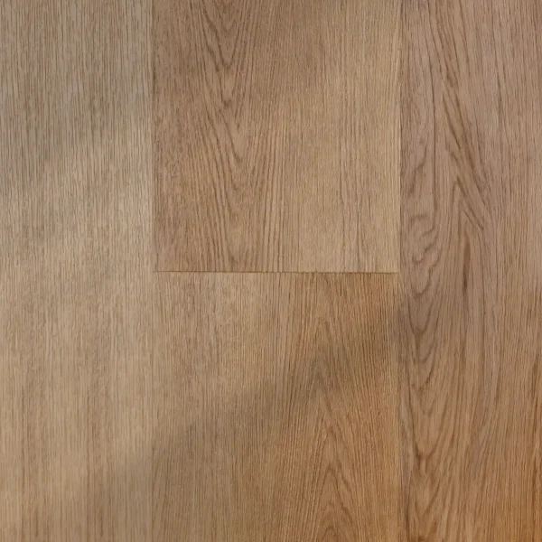 Oostende • Plank XL - Afbeelding 3